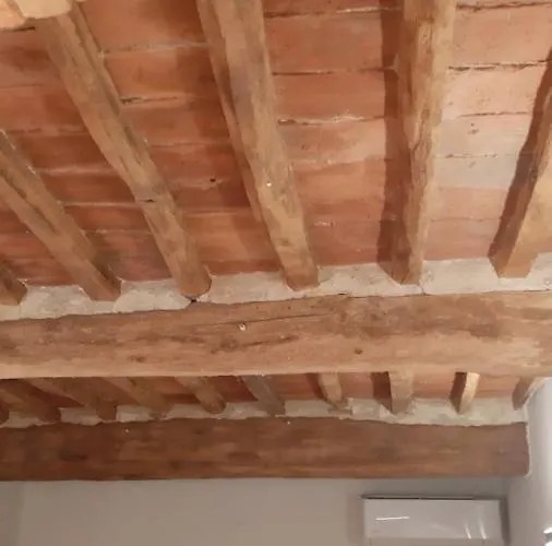 Il Paradiso Sopra Le Nuvole * 페치올리